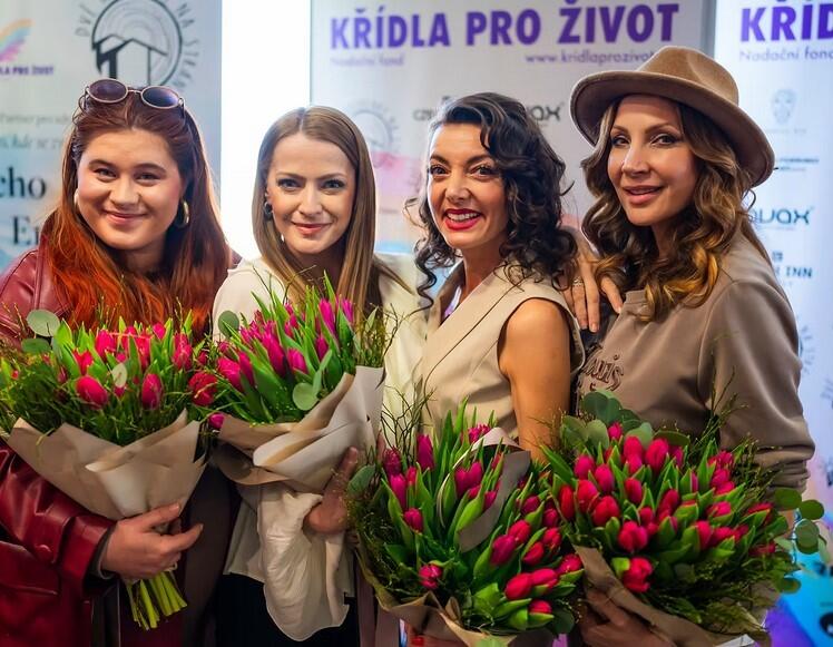 Snímek obrazovky 2026-04-01 153710