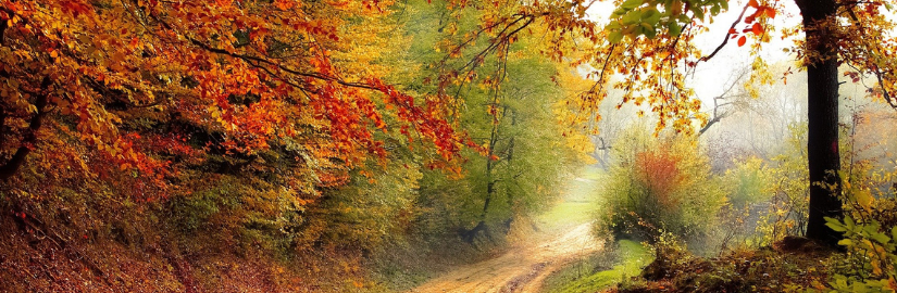 Podzimní krajina